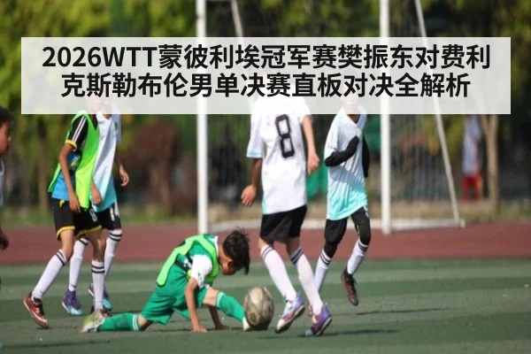 2026WTT蒙彼利埃冠军赛樊振东对费利克斯勒布伦男单决赛直板对决全解析