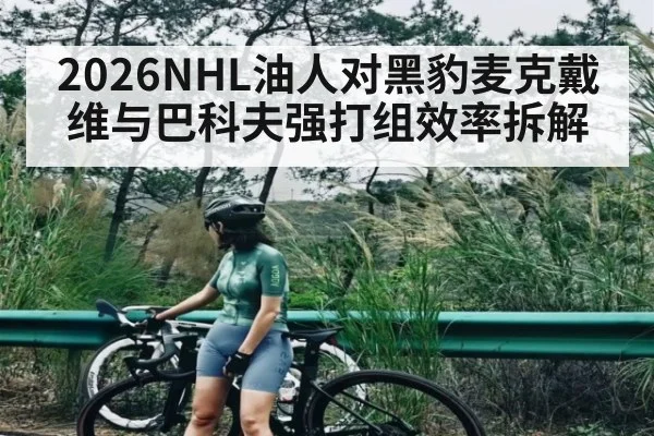 2026NHL油人对黑豹麦克戴维与巴科夫强打组效率拆解